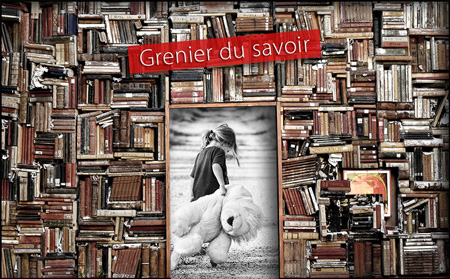 Fabrice Prévost - Bibliographie