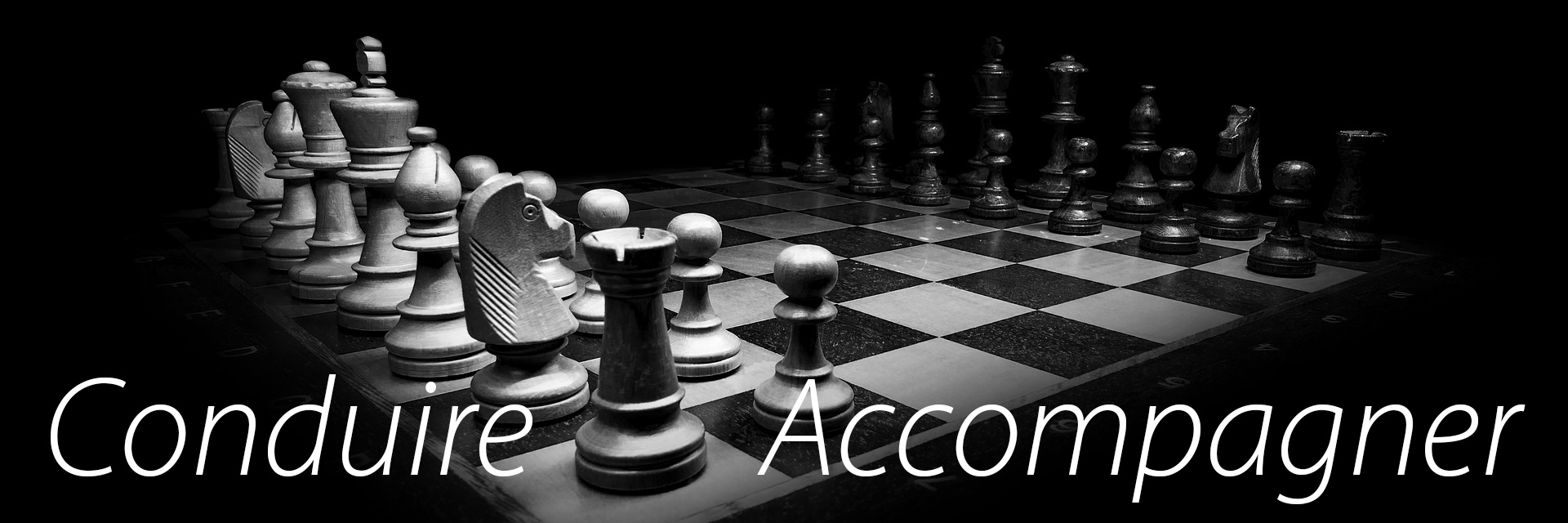 Changement - conduire et ou accompagner