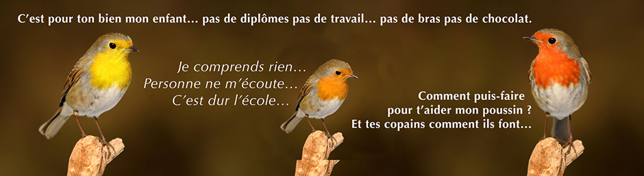 Enfant qui n'apprennent pas… comme il faut