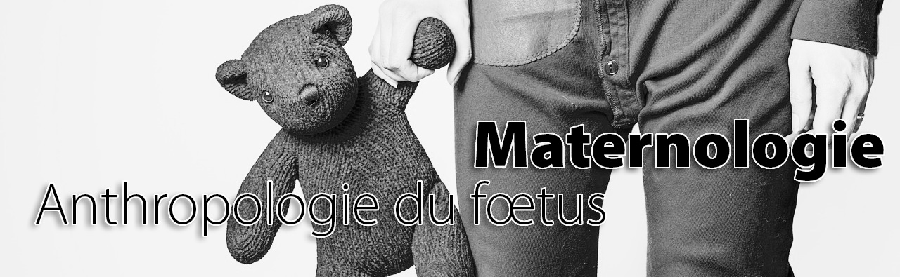 anthropologie du fœtus et maternologie