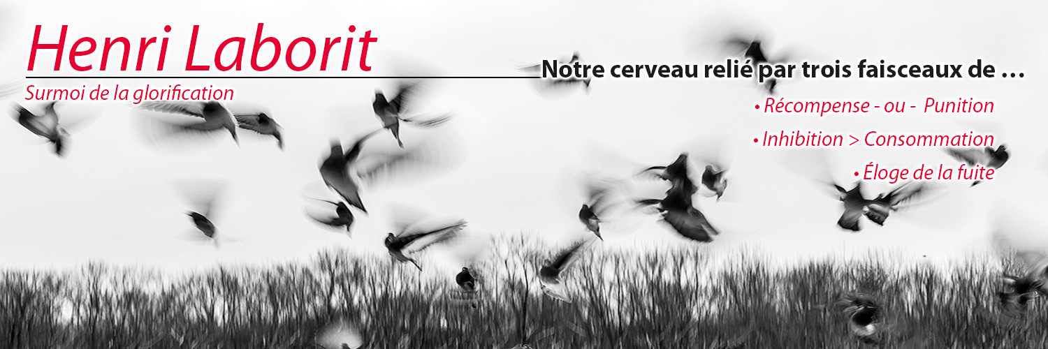 • Comportement humain - Eutonologie : Henri Laborit