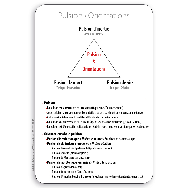 4 - Psy-carte : Pulsion & Orientations